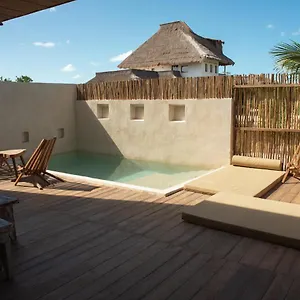 Laisla Isla Holbox